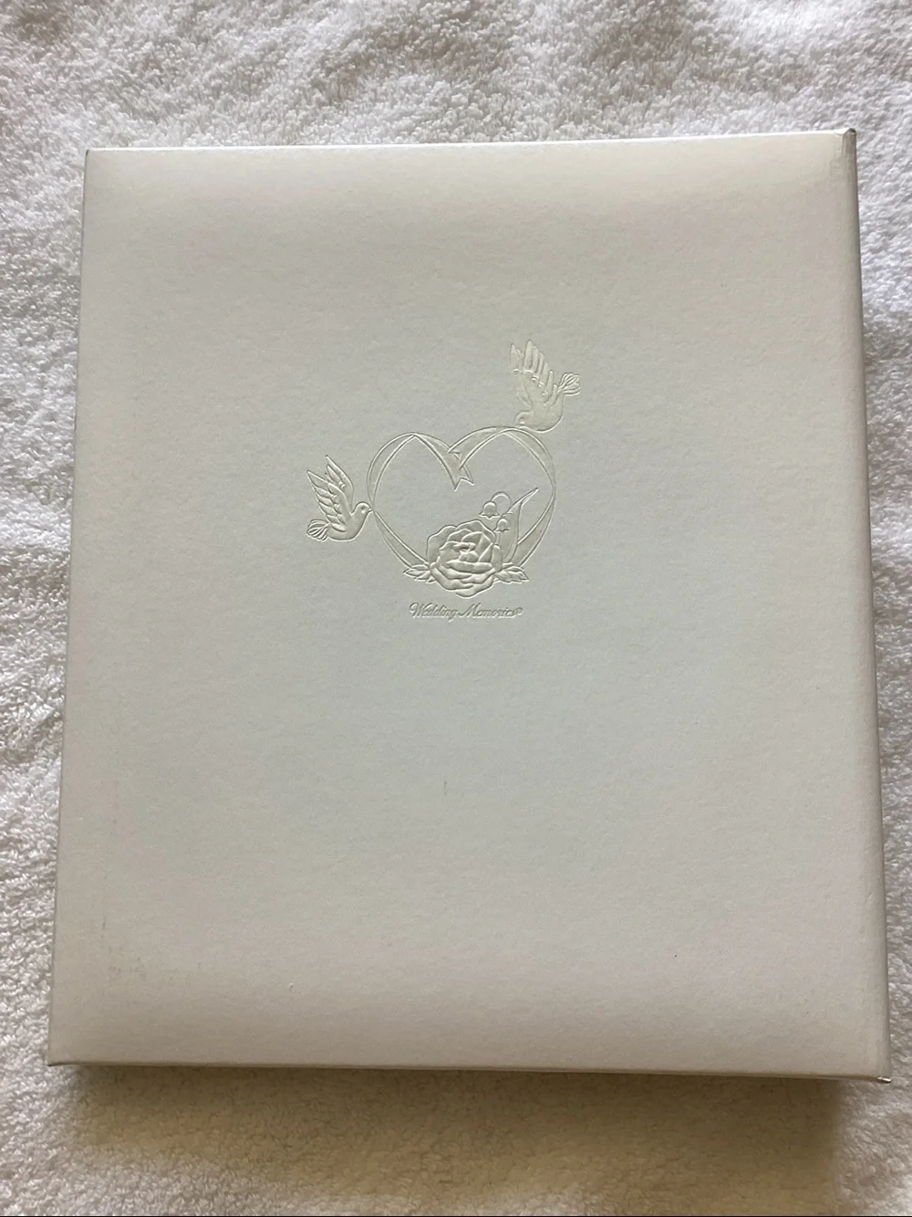 Gibson Ivory Loose-Leaf Album Insert Sheet